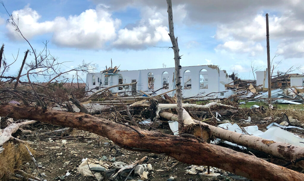 Photo of a fallen trees and white buildings destroyed by hurricane